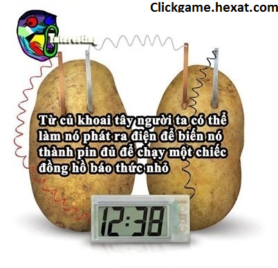 Có thể bạn chưa biết